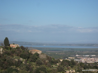 tapiccola-13-01-2013 09-11-20